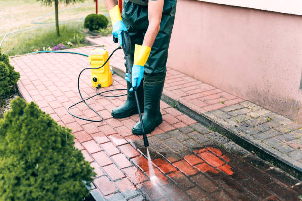 Best Soft Washing for Delicate Surfaces in Holtsville, NY