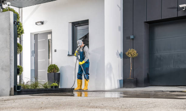 Best Roof Cleaning and Mildew Removal in Holtsville, NY